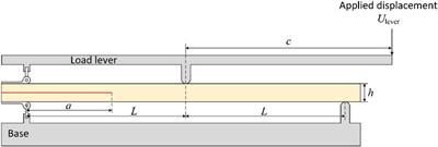 An Incremental Cohesive Law for Delamination Under a Mixed Mode Loading